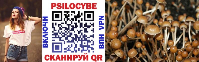 Псилоцибиновые грибы мухоморы Сердобск