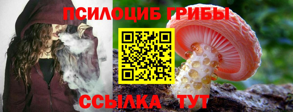 Сердобск  Псилоцибиновые грибы GOLDEN TEACHER  Вход с VPN 